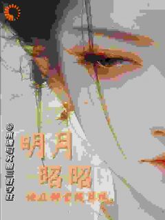 主人公沈知微顾昭小说明月昭昭：她在朝堂拨算珠在线全文阅读