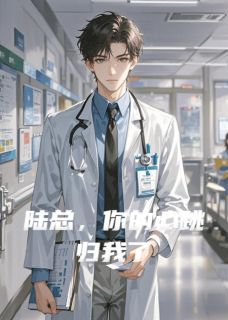 陆总，你的心跳归我了小说-陆总，你的心跳归我了抖音小说沈墨陆衍