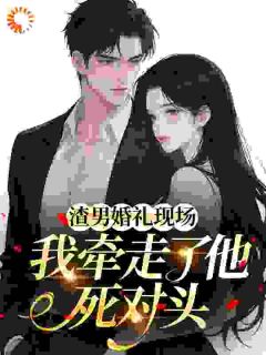 林凊釉霍析越主角小说渣男婚礼现场我牵走了他死对头抖音文免费阅读全文