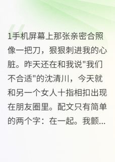 他分手第二天就有了新欢小说全集(陈墨沈清川苏晚)无弹窗广告阅读