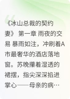 总裁和他的夫人主角是苏晚顾衍琛小说百度云全文完整版阅读