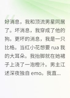 私藏读物好消息，我和顶流男星同居了江述林曼曼完结版免费阅读