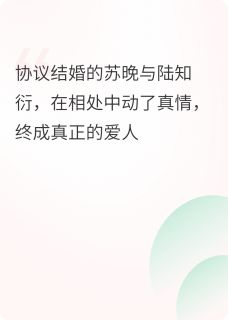 藏在条款里的爱章节全目录 苏晚陆知衍全文免费阅读