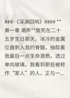 深渊中回响【全章节】闻夜方舟完结版免费阅读
