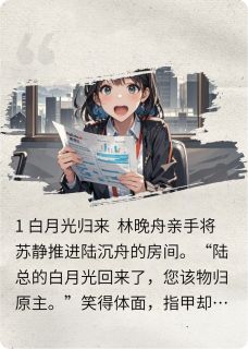 陆沉舟苏静林晚舟小说结局