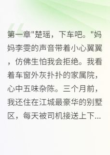 最新小说家属院来了资本家千金，惊艳四邻主角楚瑶林浩全文在线阅读