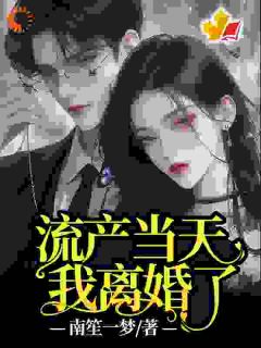 流产当天，他陪初恋产检我笑着离婚小说最新章节-主角宋辞祁宴礼全文免费阅读