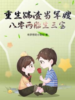 重生踹渣当军嫂，八零两胎生三宝！许淮宁陆沉舟全章节完结版在线阅读