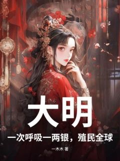 私藏读物大明：一次呼吸一两银，殖民全球！朱慈烺崇祯完结版免费阅读