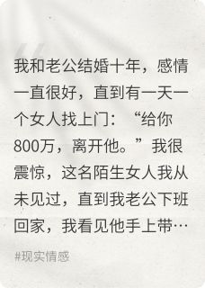 结婚十年，没想到霍辰顾承宇温珊珊小说完整在线阅读
