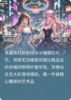抖音爆款错位人生，没有赢家林晓苏晚沈清如无广告阅读