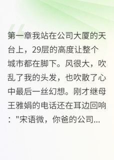 重生后我让偷钱继母进了局子by似水流年abc(王雅娟语微)未删节免费阅读