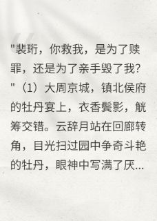 书荒必备云辞月裴珩小说