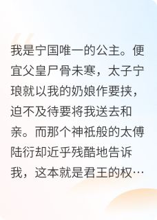 抖音爆款宁昭小说免费阅读
