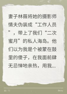 夺命蜜月：抱歉，返程票只有一张全集小说_林薇陈锋完结版阅读