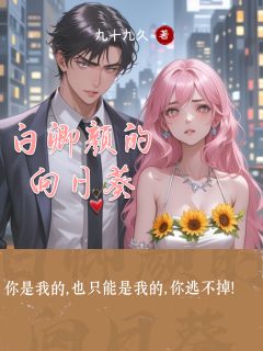 白卿颜的向日葵沈知南白卿颜全章节在线阅读