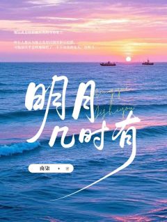 抖音爆款明月几时有完整小说（全文阅读）