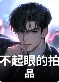 不起眼的拍品快手热推林风王老板免费阅读