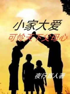 正版小说小家大爱，可怜天下父母心尚志文三秀在线免费阅读