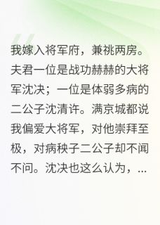精品小说嫁两夫，将军纳妾后我送他点天灯全文目录畅读