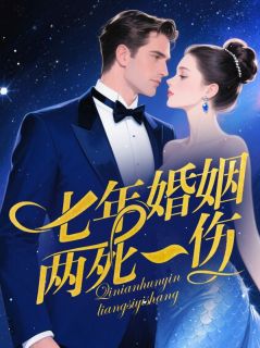 七年婚姻，两死一伤小说免费阅读 方小慧许琛州大结局完整版