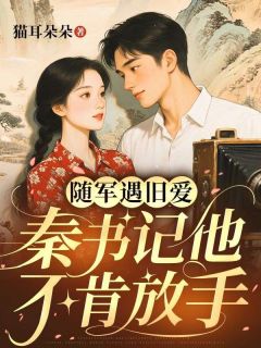 全网首发完整小说随军遇旧爱，秦书记他不肯放手主角安宁秦沉舟在线阅读