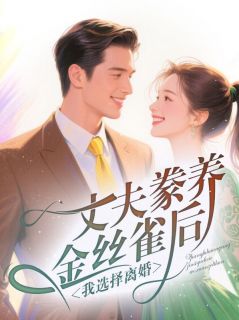 丈夫豢养金丝雀后，我选择离婚（洛风眠苏慕辰）精彩小说目录阅读
