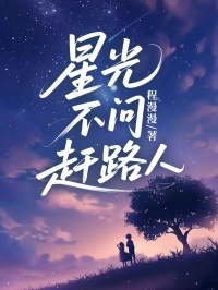 好书推荐星光不问赶路人江之衡夏眠楚离全文在线阅读