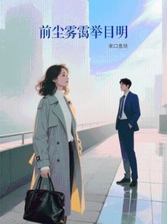 好书推荐前尘雾霭举目明沈知冉沈知意全文在线阅读