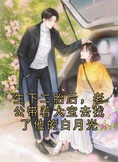 生下二胎后，老公带着大宝去找了他的白月光林晚陈昱苏芮全章节在线阅读