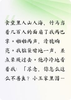 沈北辰苏念蒋小玉是哪部小说的主角 我不把生活费给校花，竹马打了我全文无弹窗-随缘阅读网