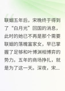 离婚后，白月光他黑化了小说主角是宋晚叶博渊全文完整版阅读