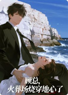 顾总，火葬场烧穿地心了小说(完结版)-苏晚顾承烨在线阅读