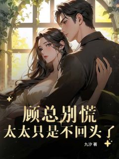 顾总别慌，太太只是不回头了小说(完本)-季萦林砚顾宴沉无错版阅读