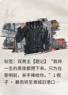 长夜未明，黎明将至小说免费阅读 沈砚江聿大结局完整版