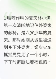 老藤椅上的时光（全本）藤椅小满完整章节列表免费阅读