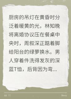 （全集-免费）裂痕深处，时光花开完本小说_周叙深林知晚全文免费阅读
