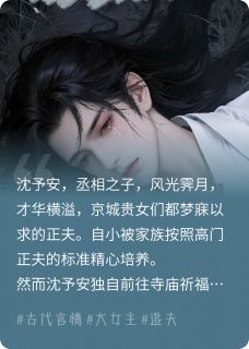 沈予安虞岁婉小说皇太女的娇娇正夫不要哭完整章节