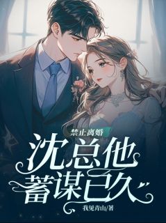 精选好书禁止离婚！沈总他蓄谋已久无删减版全文在线