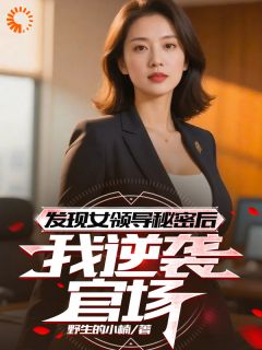 发现女领导秘密后，我逆袭官场在线全文阅读-主人公唐逸阮晴小说