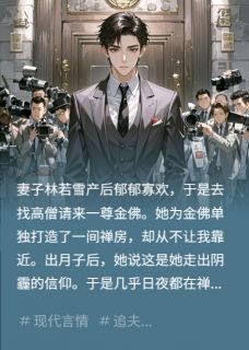 主角是林若雪陆泽远萧北辰的小说-我老婆和佛像生了个孩子完整章节阅读
