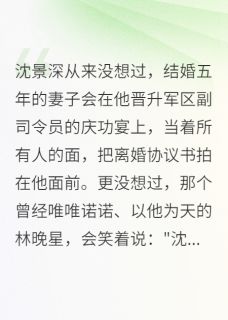 沈景深晚星全集小说_军区副司令慌了,妻子要离婚完结版阅读-随缘阅读网