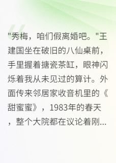 私藏读物假离婚后，我在80年代重新开始秀梅陈志远老刘完结版免费阅读