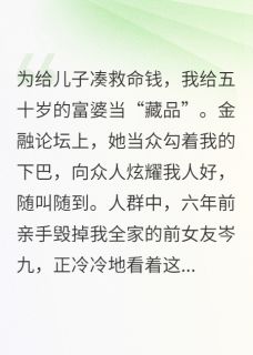 百度贴吧小说月薪十万当藏品，前女友悔疯了，主角岑九庄雪茗全文免费