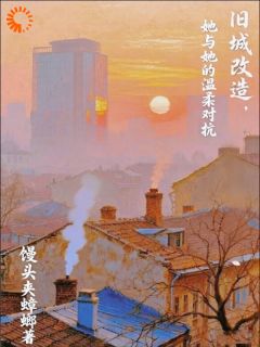老书虫推荐旧城改造，她与她的温柔对抗 在线阅读