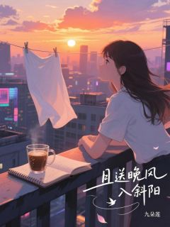 熬夜也要看完的且送晚风入斜阳小说推荐