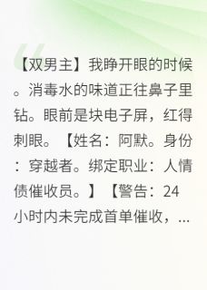 阿野赵坤王大海是哪部小说的主角 人情债催收员：我专收恶人的债全文无弹窗