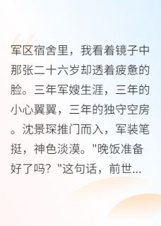 抖音沈景琛张凯小说叫什么名字