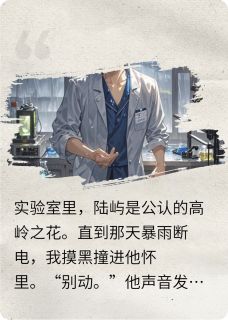 (抖音小说)沈微陆屿小说全文阅读免费