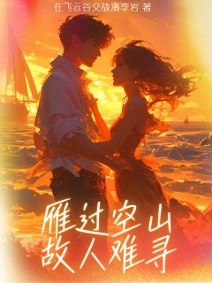 雁过空山故人难寻小说的书名是什么